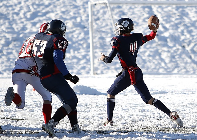 该部门宣布 该部门宣布