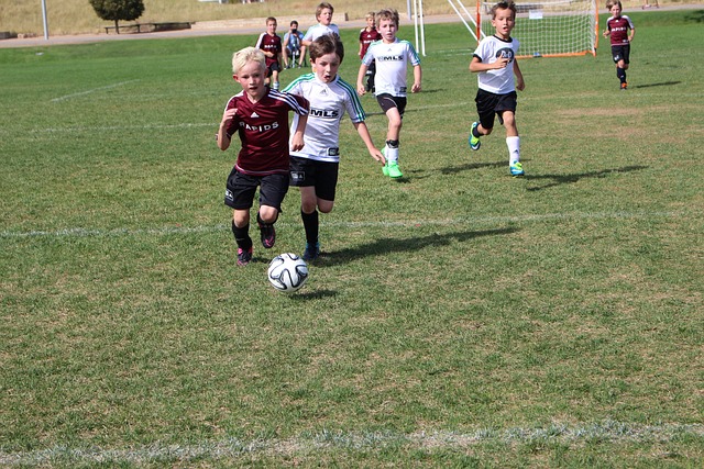 在这些问题 在这些问题